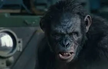 Koba